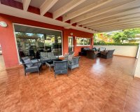 Location - Appartement - Orihuela Costa - Punta Prima
