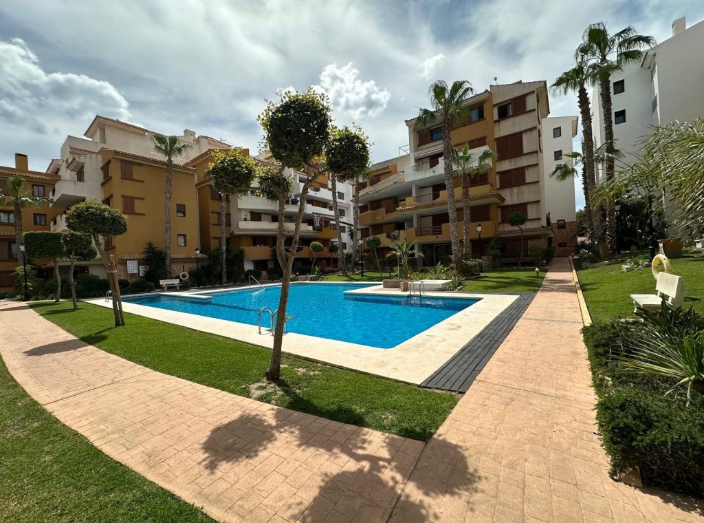 Location - Appartement - Orihuela Costa - Punta Prima