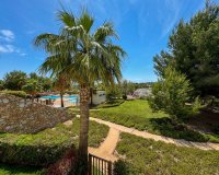 Location - Appartement - San Miguel de Salinas