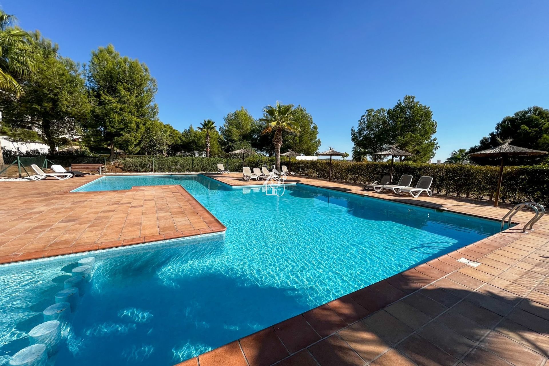 Location - Appartement - San Miguel de Salinas