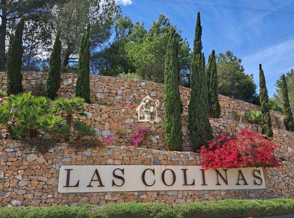 Location - Appartement - San Miguel de Salinas