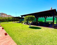 Location - Appartement - Torrevieja - Centro