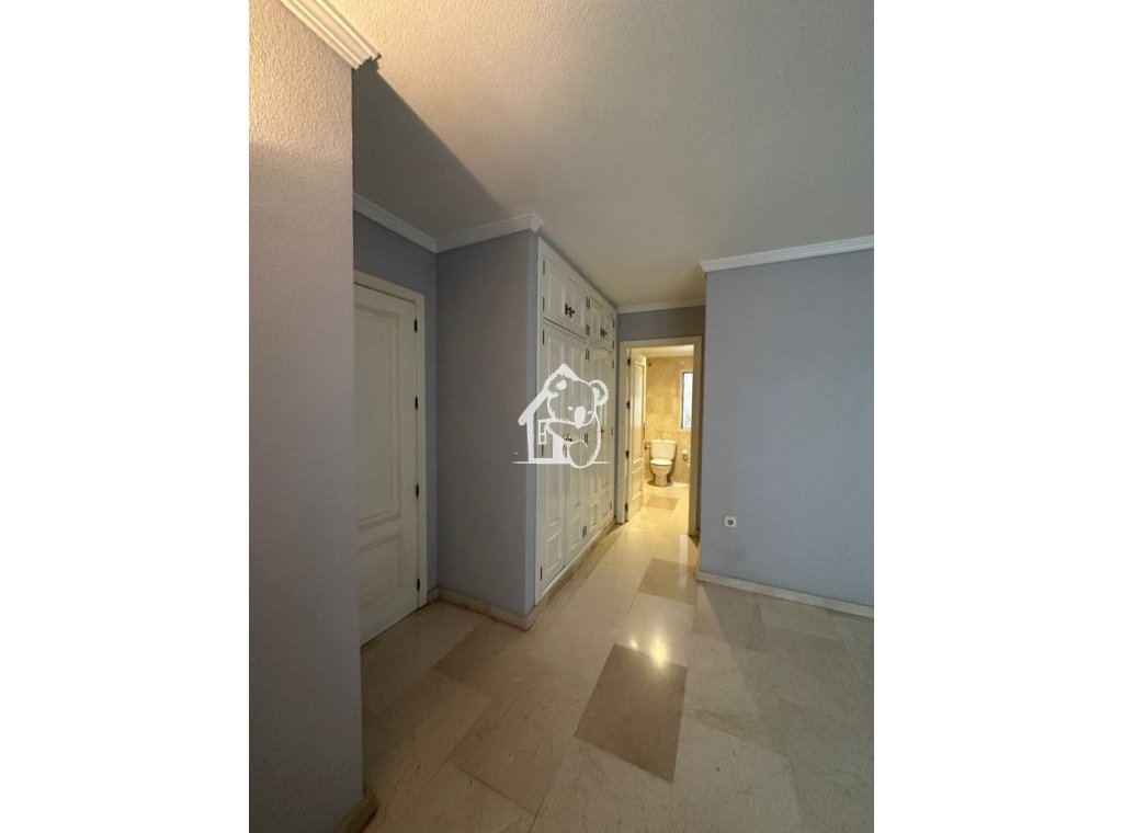 Location - Appartement - Torrevieja - Centro