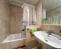 Location - Appartement - Torrevieja - Centro