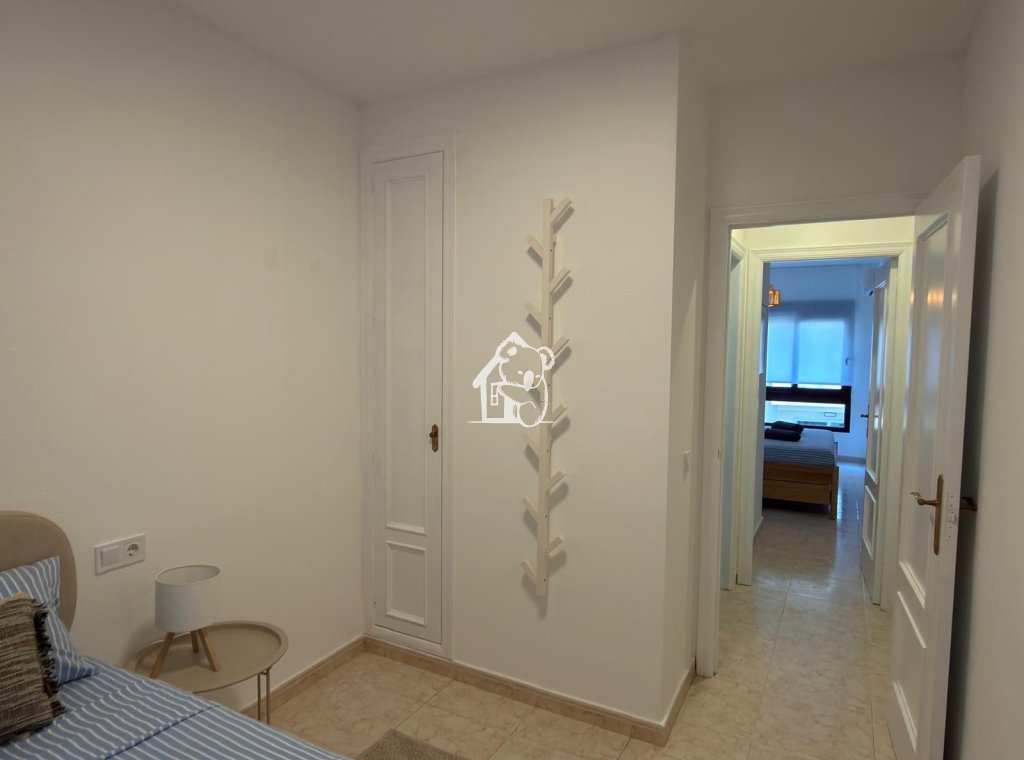 Location - Appartement - Torrevieja - Centro