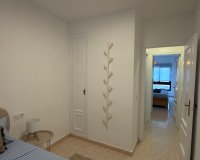 Location - Appartement - Torrevieja - Centro