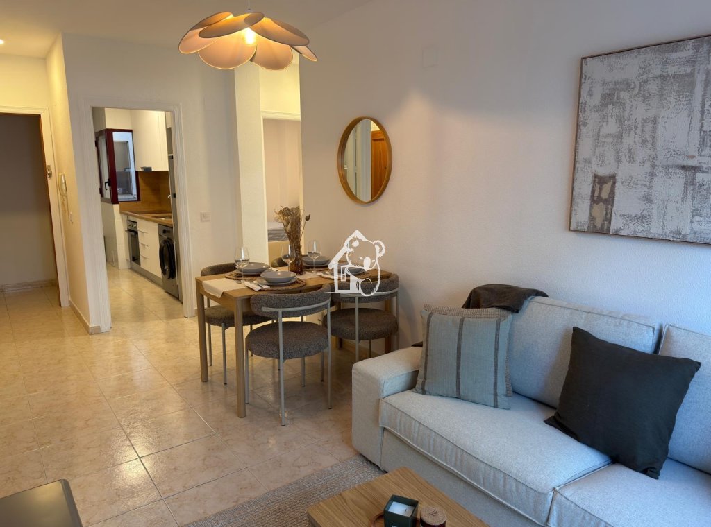 Location - Appartement - Torrevieja - Centro