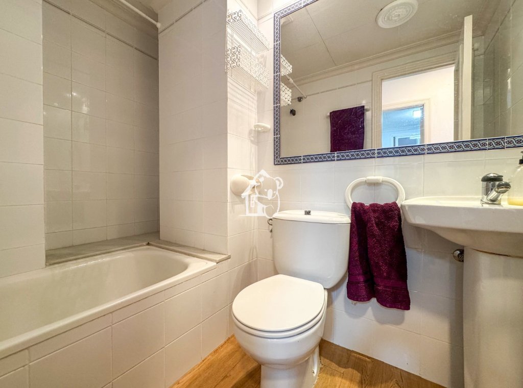 Location - Appartement - Torrevieja - Centro