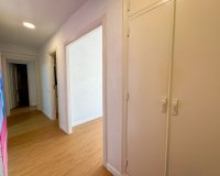 Location - Appartement - Torrevieja - Centro