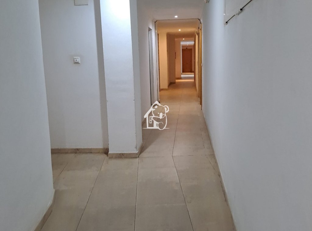 Location - Appartement - Torrevieja - Centro