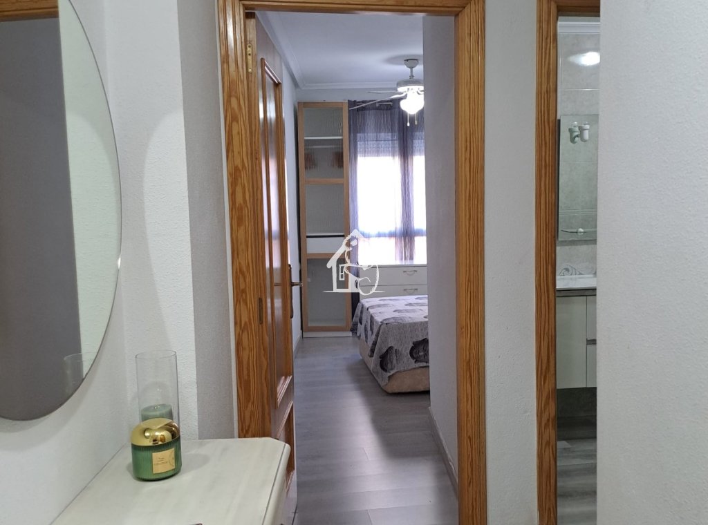 Location - Appartement - Torrevieja - Centro