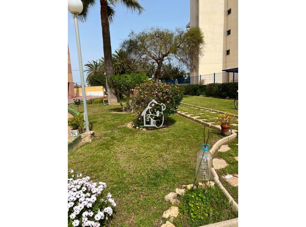 Location - Appartement - Torrevieja - El Acequión - Los Náufragos