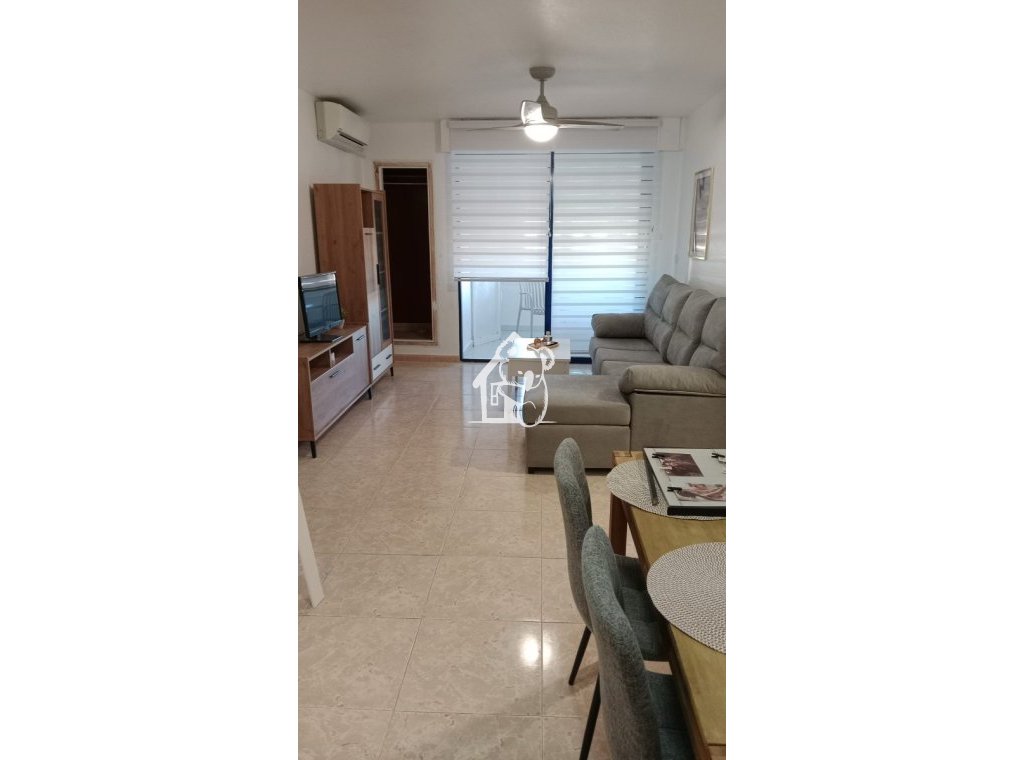 Location - Appartement - Torrevieja - El Acequión - Los Náufragos