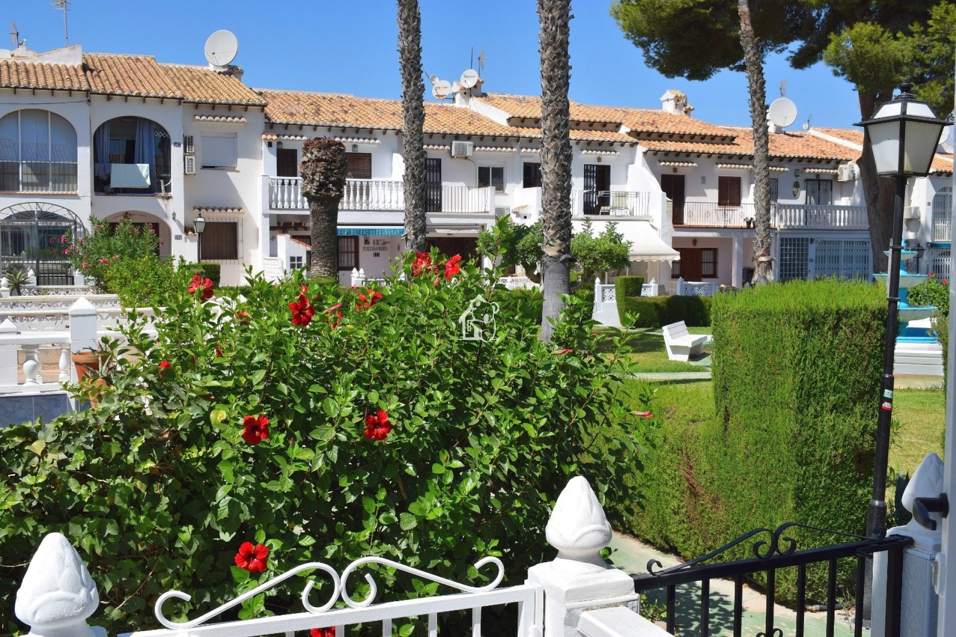 Location - Appartement - Torrevieja - Los Balcones - Los Altos del Edén