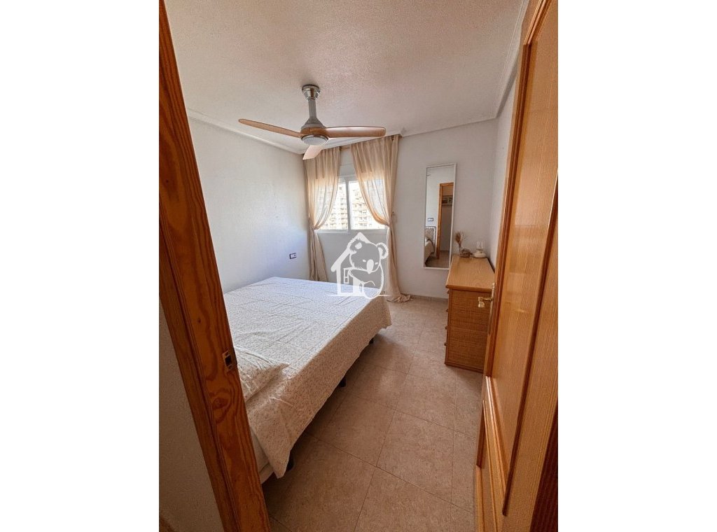 Location - Appartement - Torrevieja - Nueva Torrevieja - Aguas Nuevas