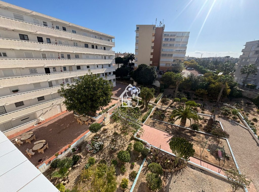 Location - Appartement - Torrevieja - Nueva Torrevieja - Aguas Nuevas