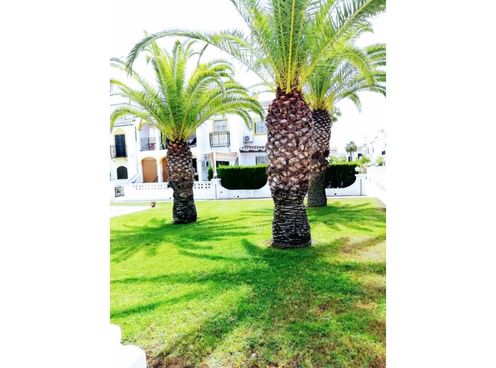 Location - Appartement - Torrevieja - Nueva Torrevieja - Aguas Nuevas