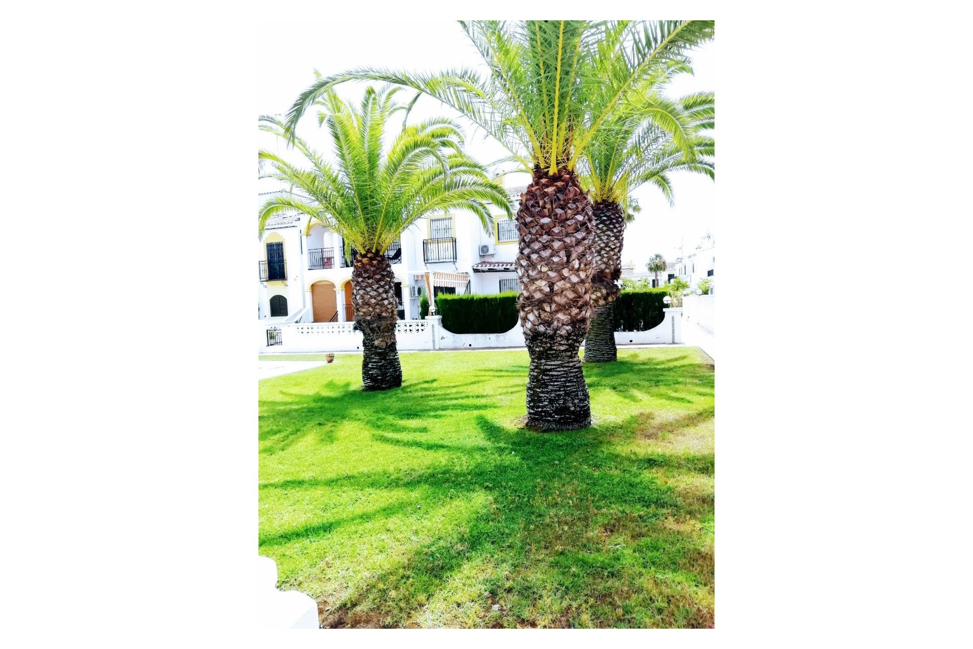 Location - Appartement - Torrevieja - Nueva Torrevieja - Aguas Nuevas