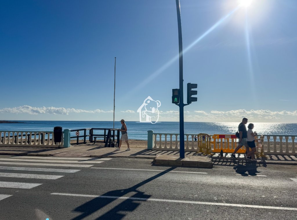 Location - Appartement - Torrevieja - Playa de los Locos