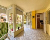 Location - Appartement - Torrevieja - Playa de los Locos