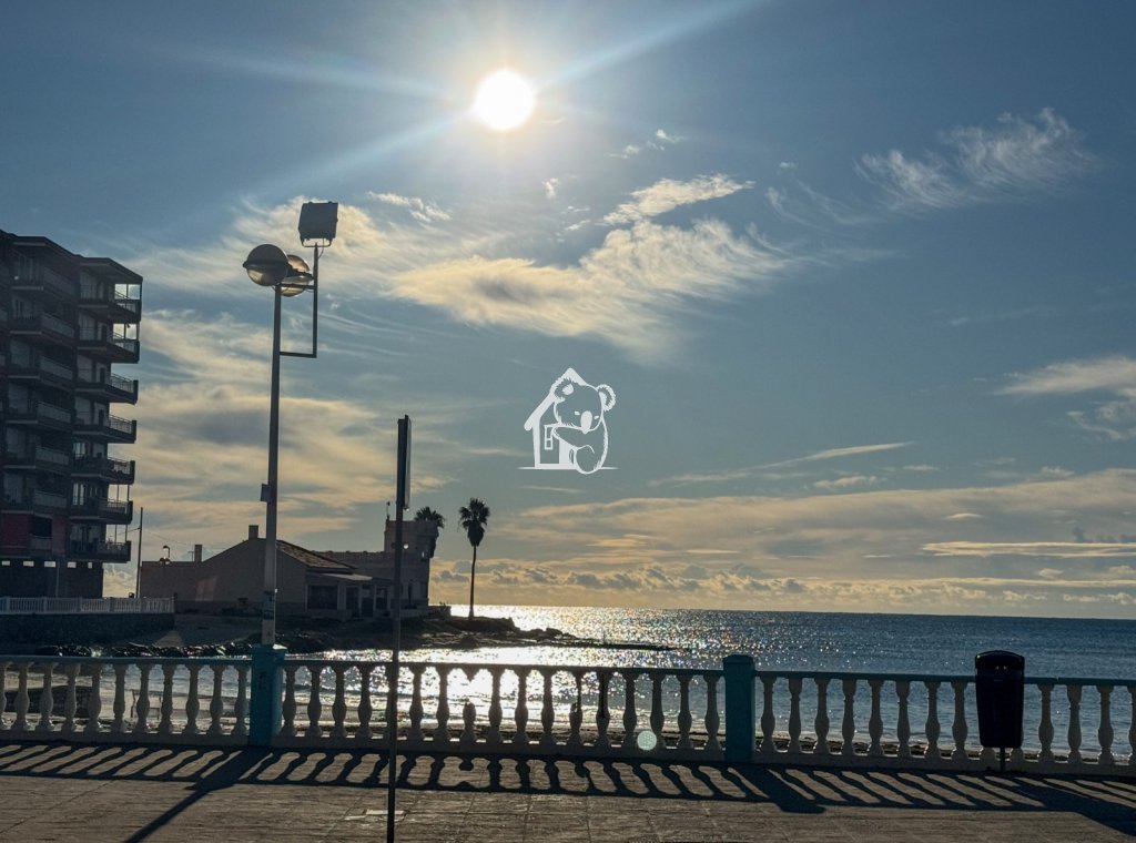 Location - Appartement - Torrevieja - Playa de los Locos