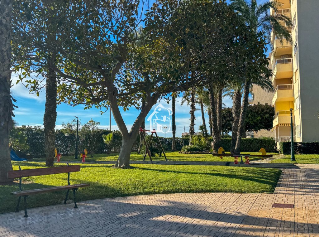 Location - Appartement - Torrevieja - Playa de los Locos