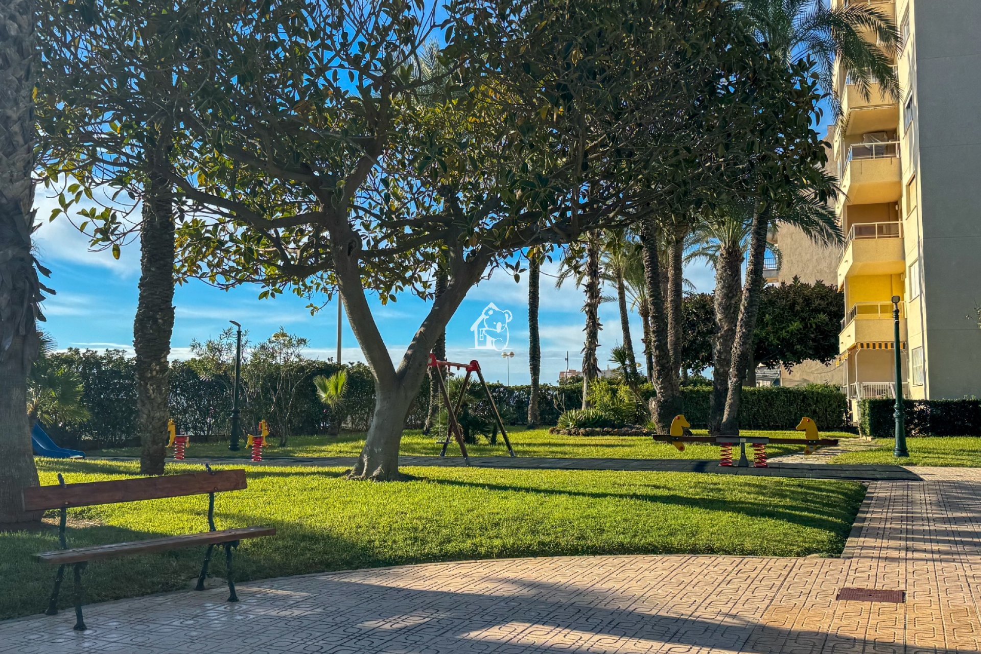 Location - Appartement - Torrevieja - Playa de los Locos