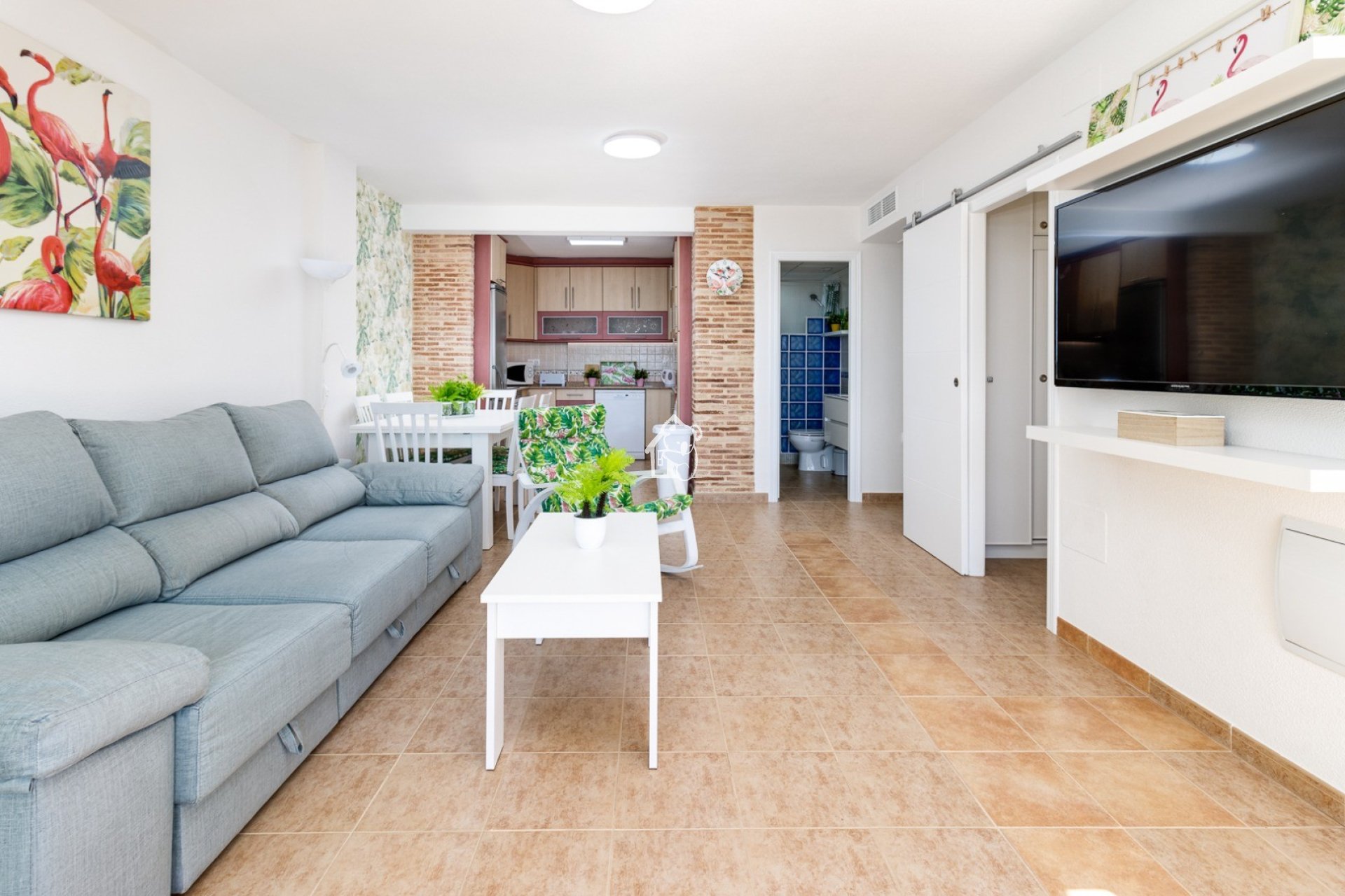 Location - Appartement - Torrevieja - Playa de los Locos