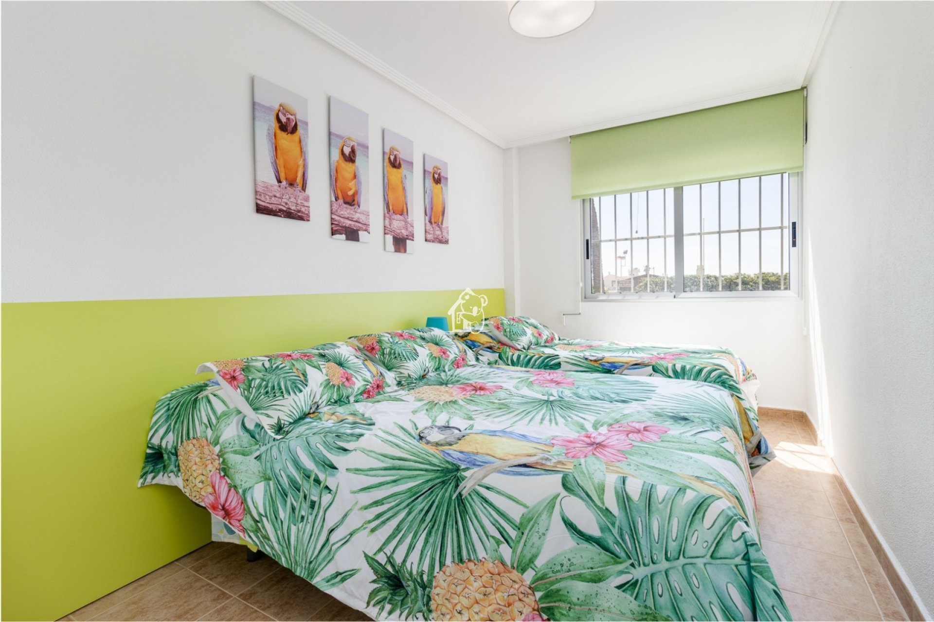 Location - Appartement - Torrevieja - Playa de los Locos