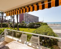 Location - Appartement - Torrevieja - Playa de los Locos