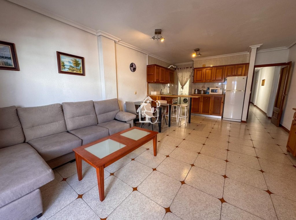 Location - Appartement - Torrevieja - Playa de los Locos
