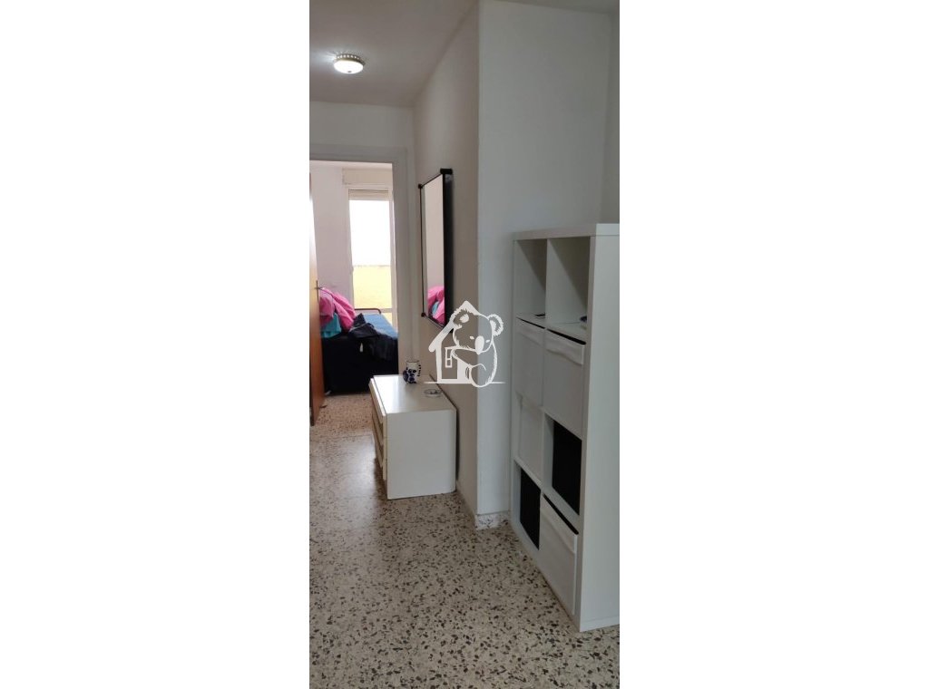 Location - Appartement - Torrevieja - Playa del Cura