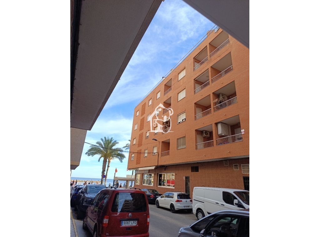 Location - Appartement - Torrevieja - Playa del Cura