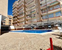 Location - Appartement - Torrevieja - Playa del Cura