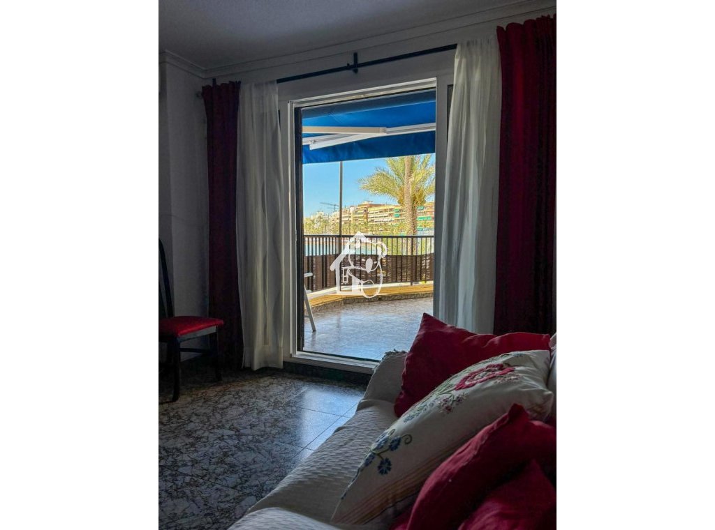 Location - Appartement - Torrevieja - Playa del Cura