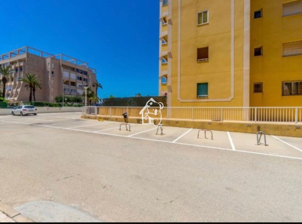 Location - Appartement - Torrevieja - Torrelamata - La Mata