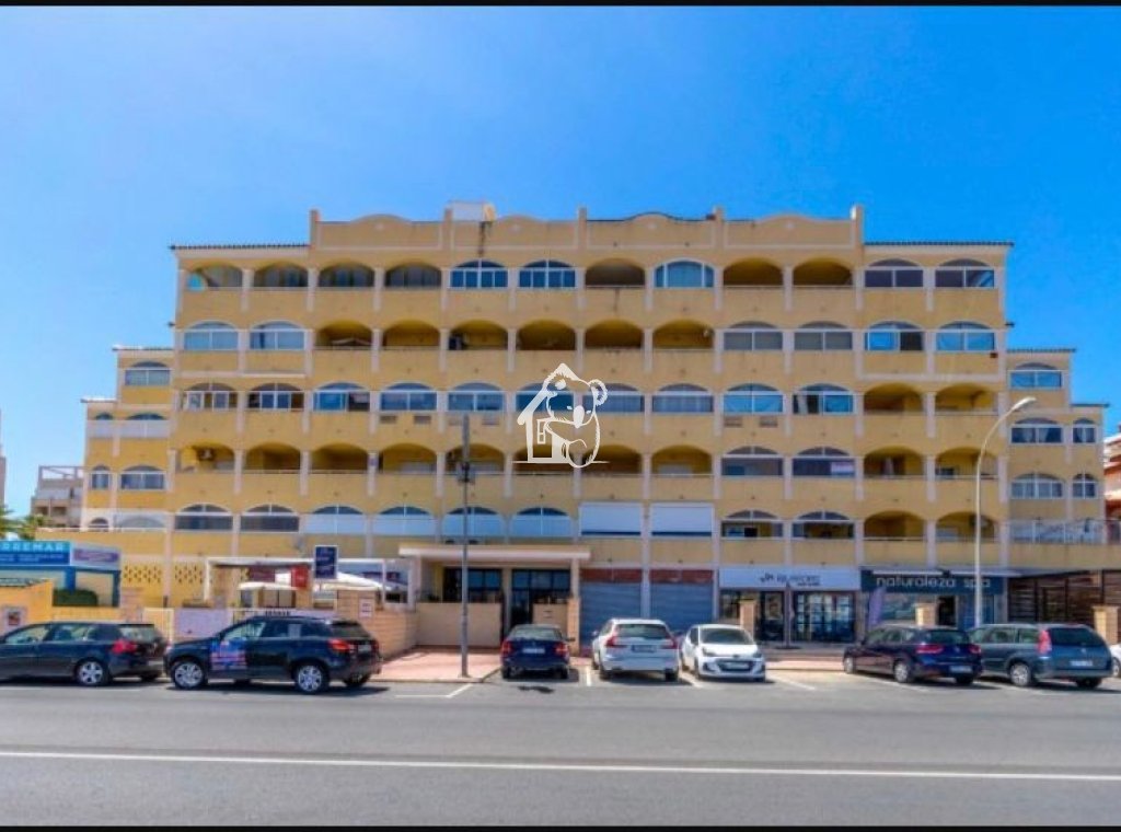 Location - Appartement - Torrevieja - Torrelamata - La Mata