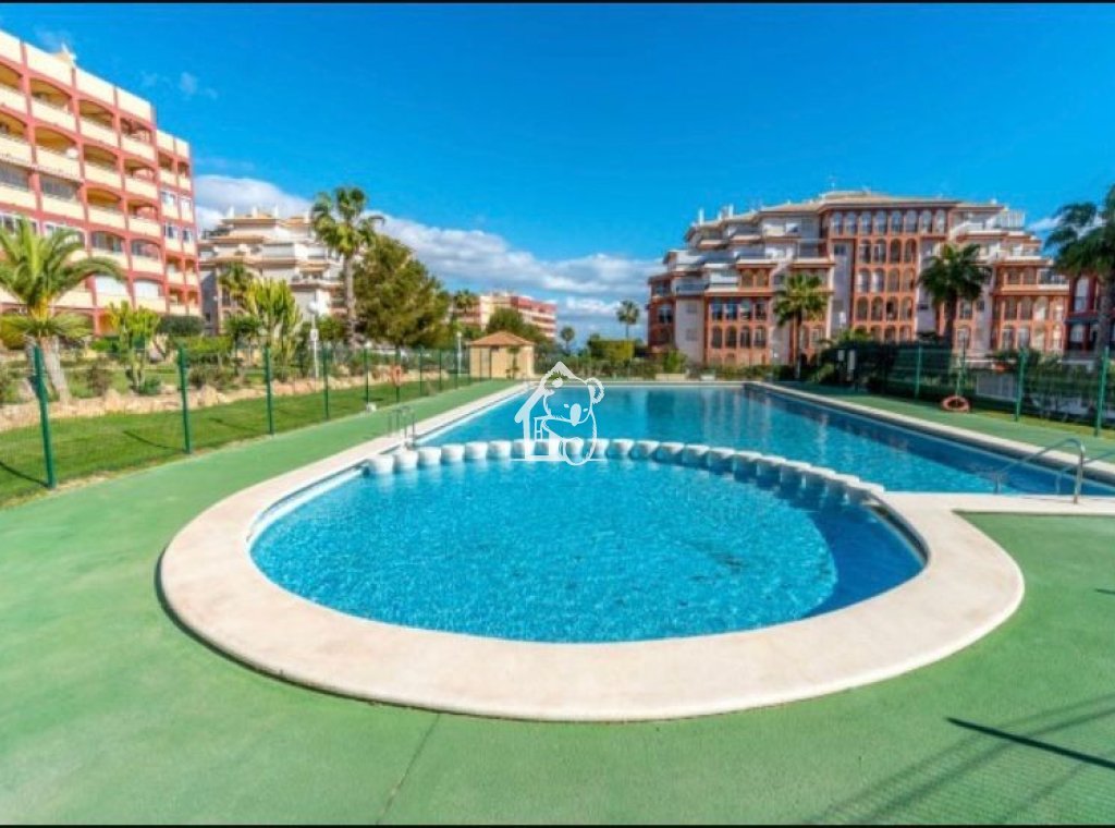 Location - Appartement - Torrevieja - Torrelamata - La Mata