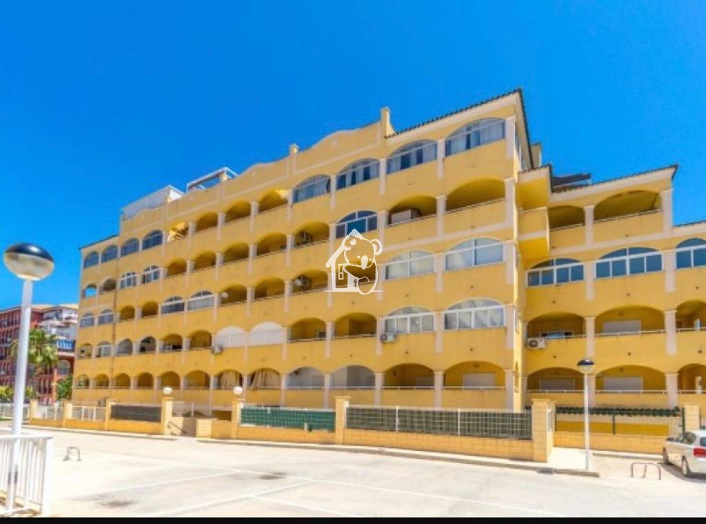 Location - Appartement - Torrevieja - Torrelamata - La Mata