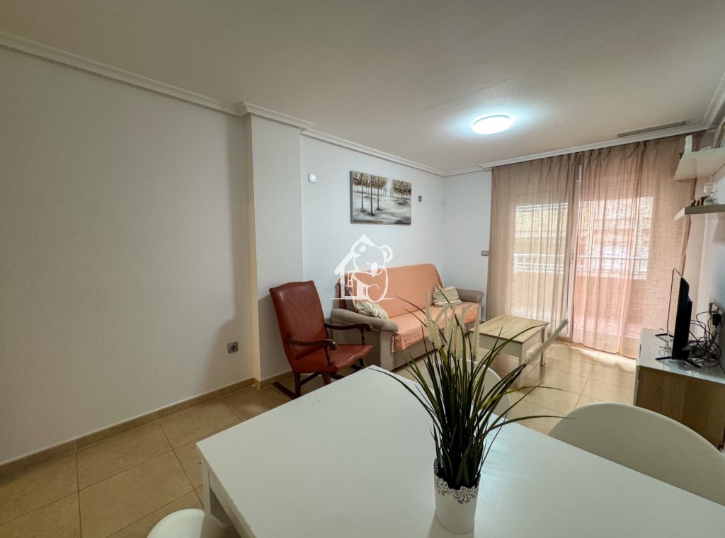 Location - Appartement - Torrevieja - Torrelamata - La Mata