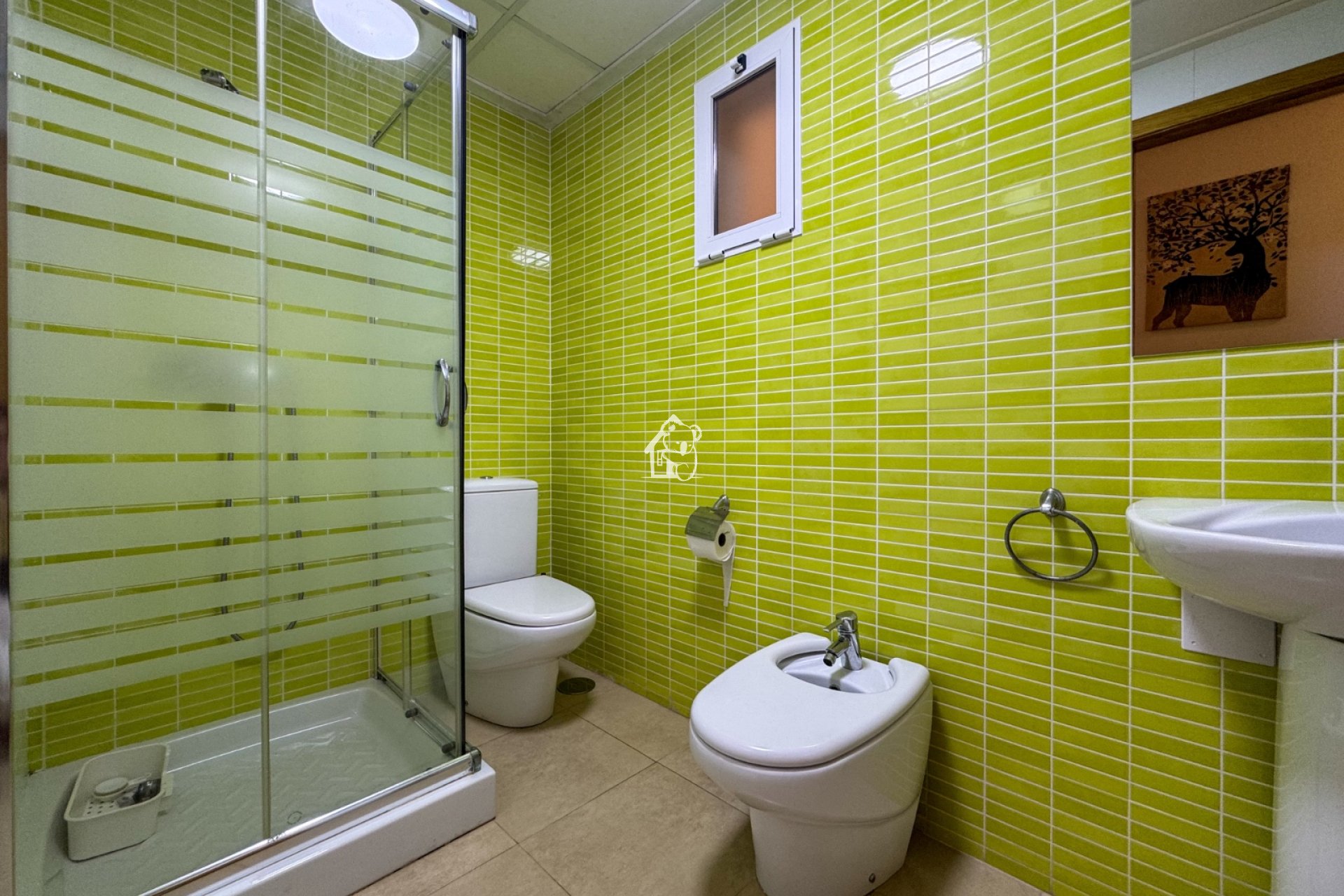 Location - Appartement - Torrevieja - Torrelamata - La Mata