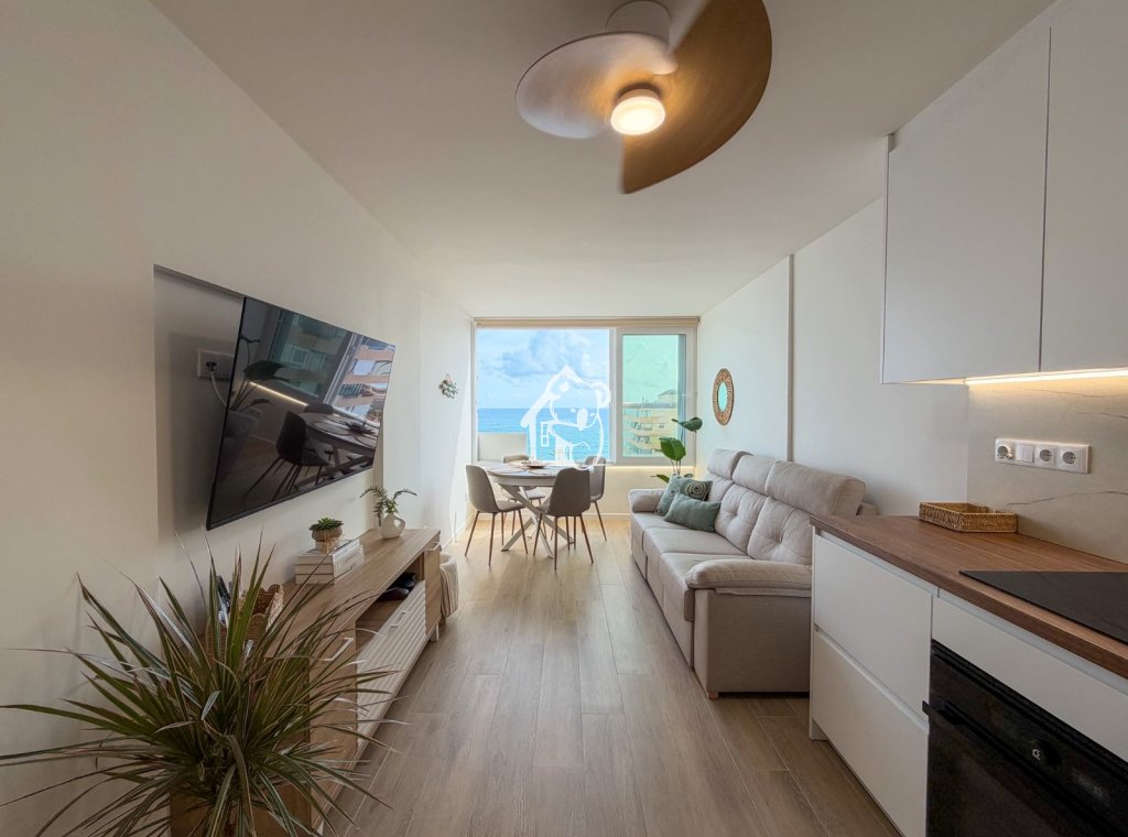 Location - Appartement - Torrevieja - Torrelamata - La Mata