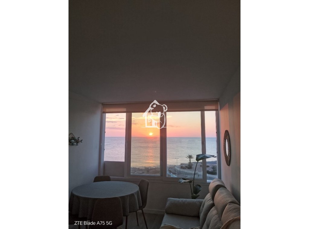 Location - Appartement - Torrevieja - Torrelamata - La Mata