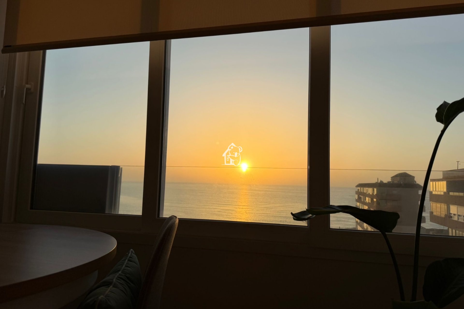Location - Appartement - Torrevieja - Torrelamata - La Mata