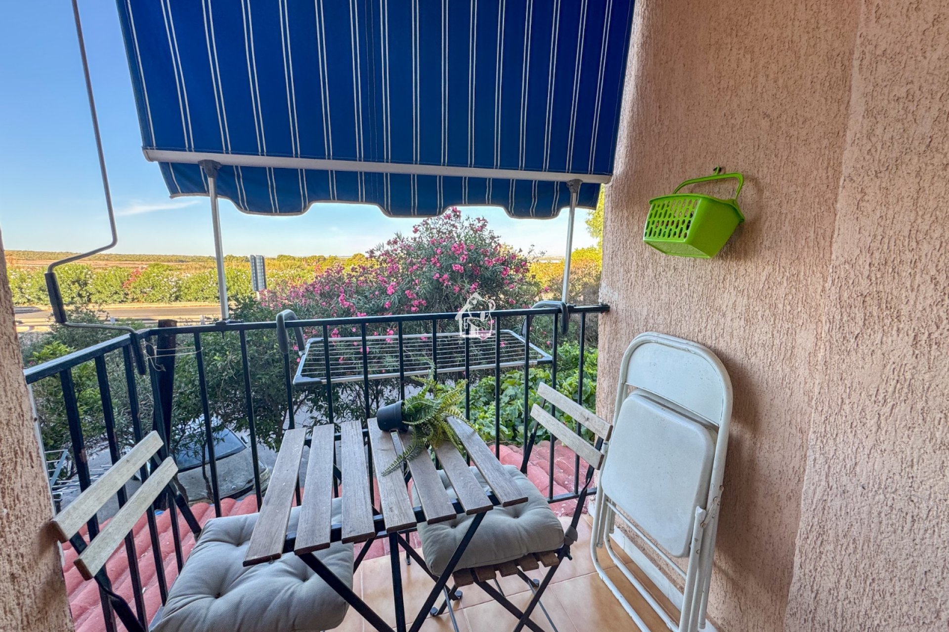 Location - Appartement - Torrevieja - Torrelamata - La Mata