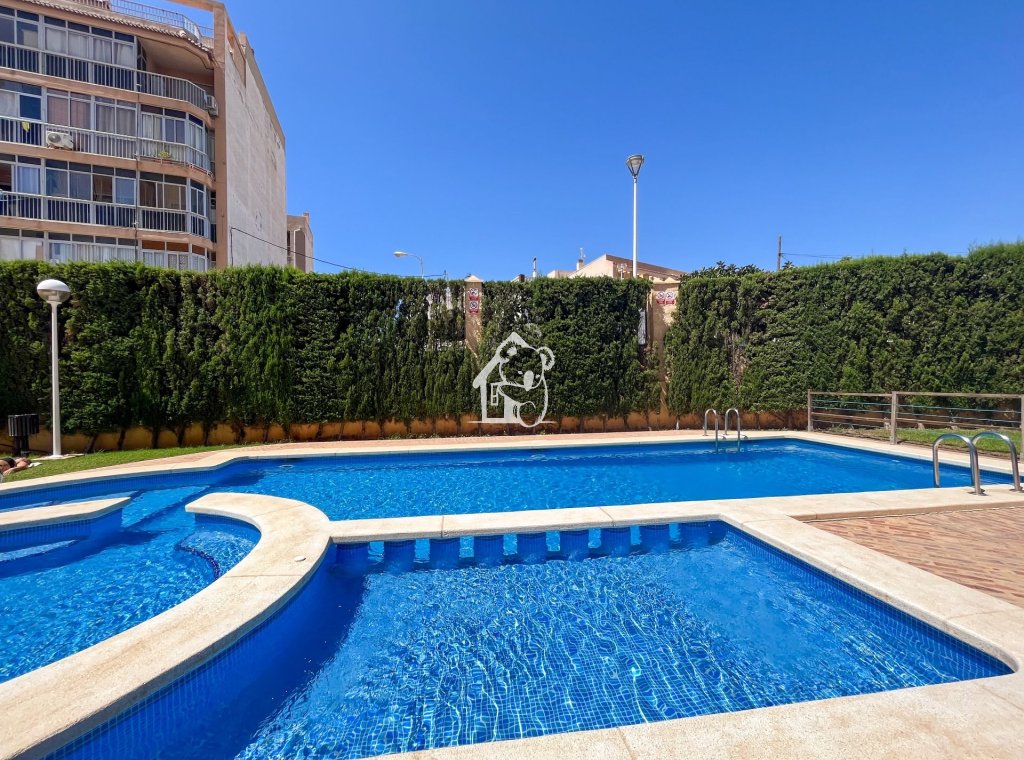 Location - Appartement - Torrevieja - Torrevieja Centro