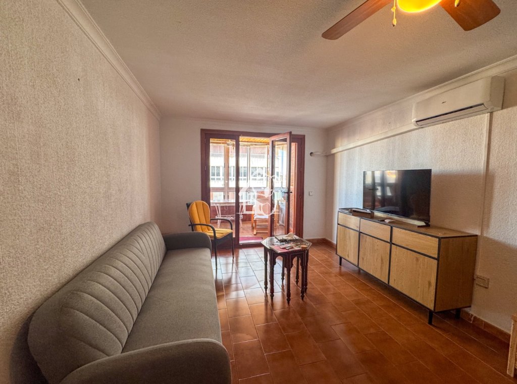 Location - Appartement - Torrevieja - Torrevieja Centro