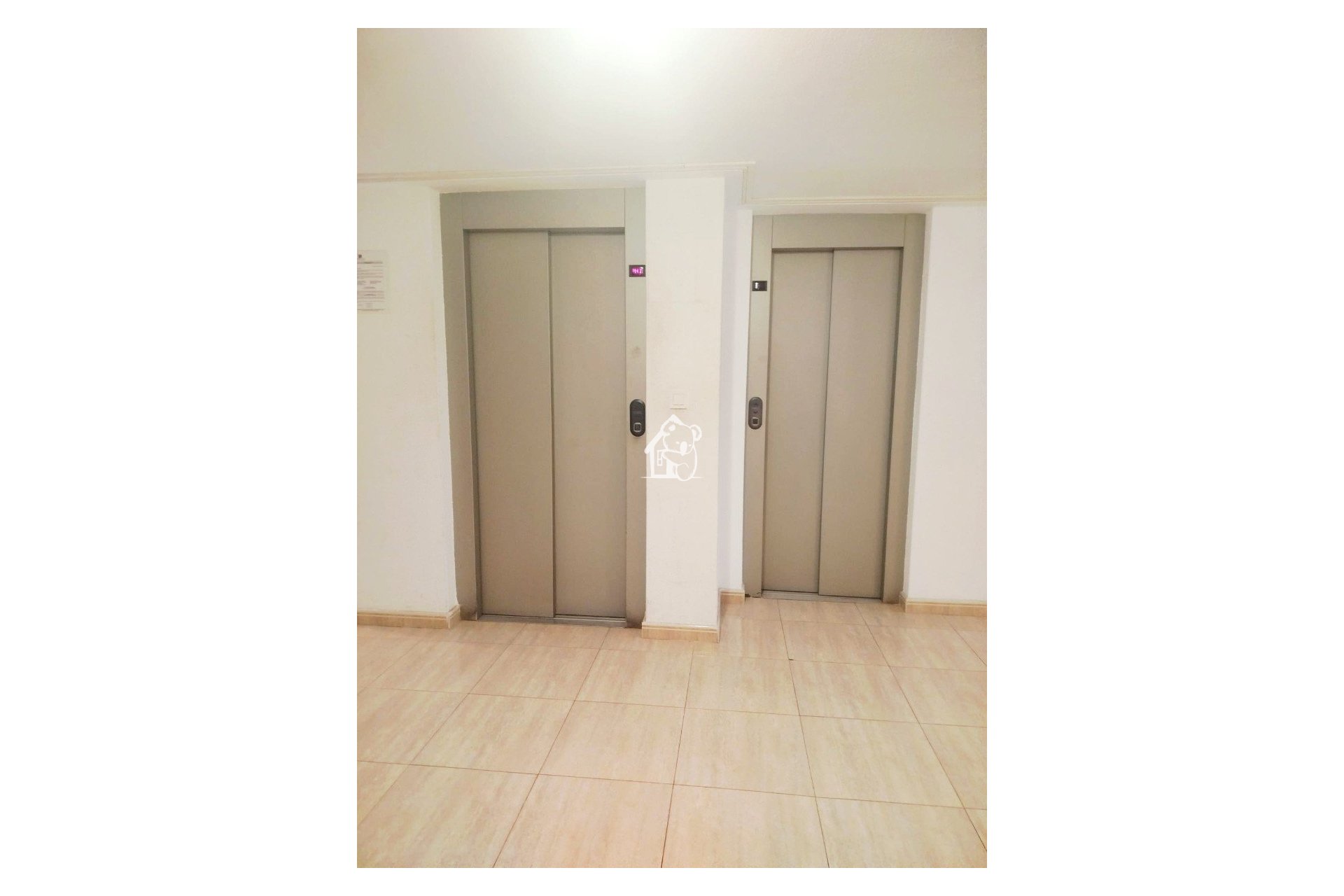 Location - Appartement - Torrevieja - Torrevieja Centro