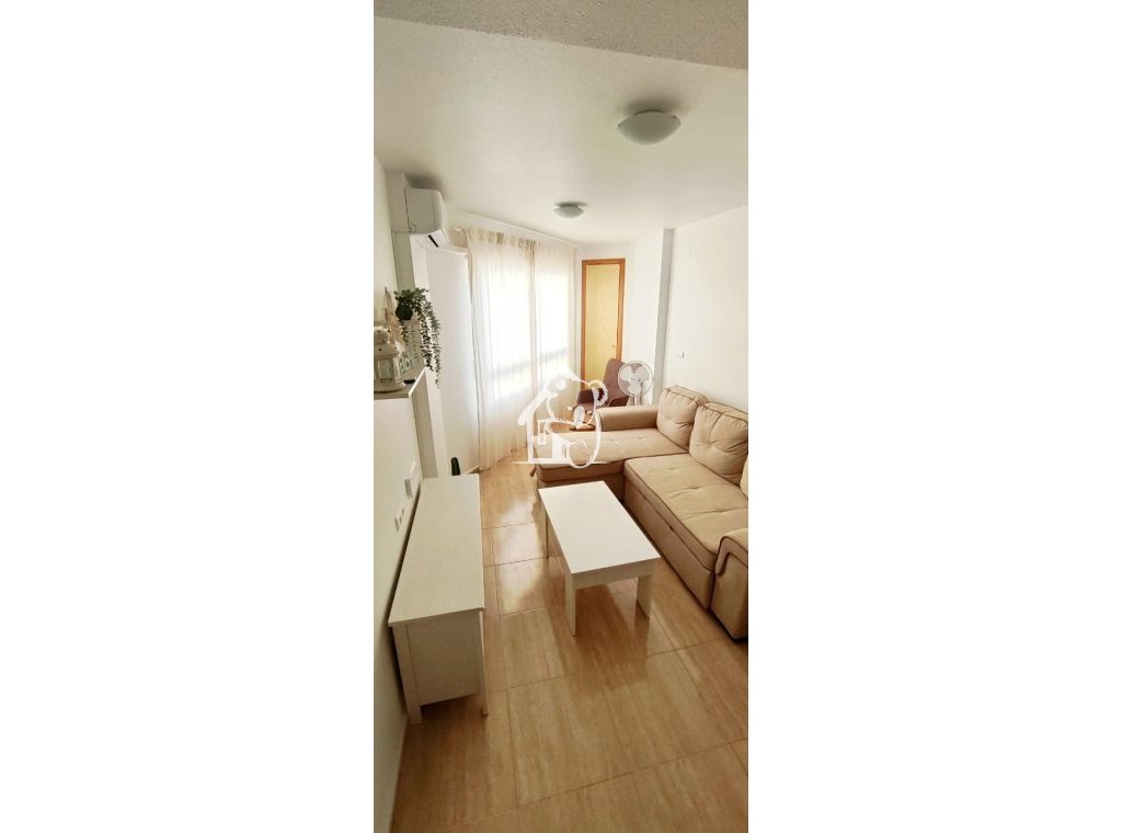 Location - Appartement - Torrevieja - Torrevieja Centro
