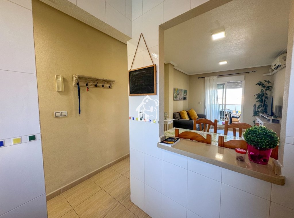 Location - Appartement - Torrevieja - Torrevieja Centro